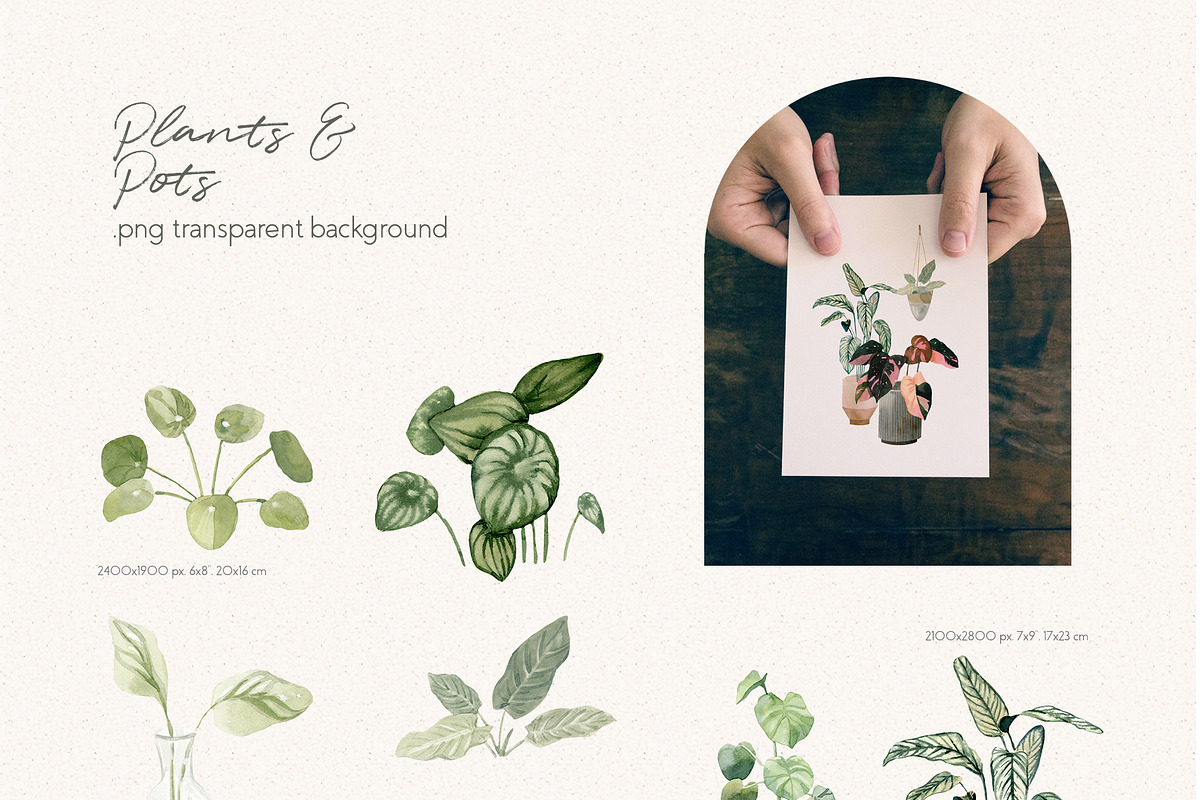 Cosy House Plants Watercolor Clipart, an Illustration by Julia M. Watercolor (Photo 7 of 11)