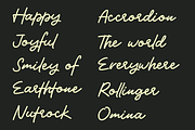 Wyleri Expressive Handwritten Fonts, a Script Font by Black Junst (Thumbnail 3 of 8)