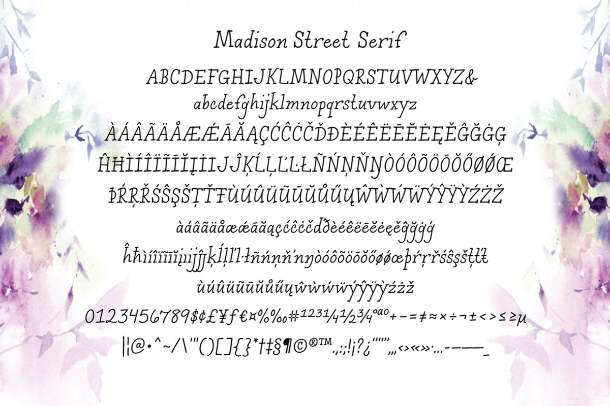 Madison Street Serif, a Serif Font by STUDIOWAYS (Photo 4 of 4)