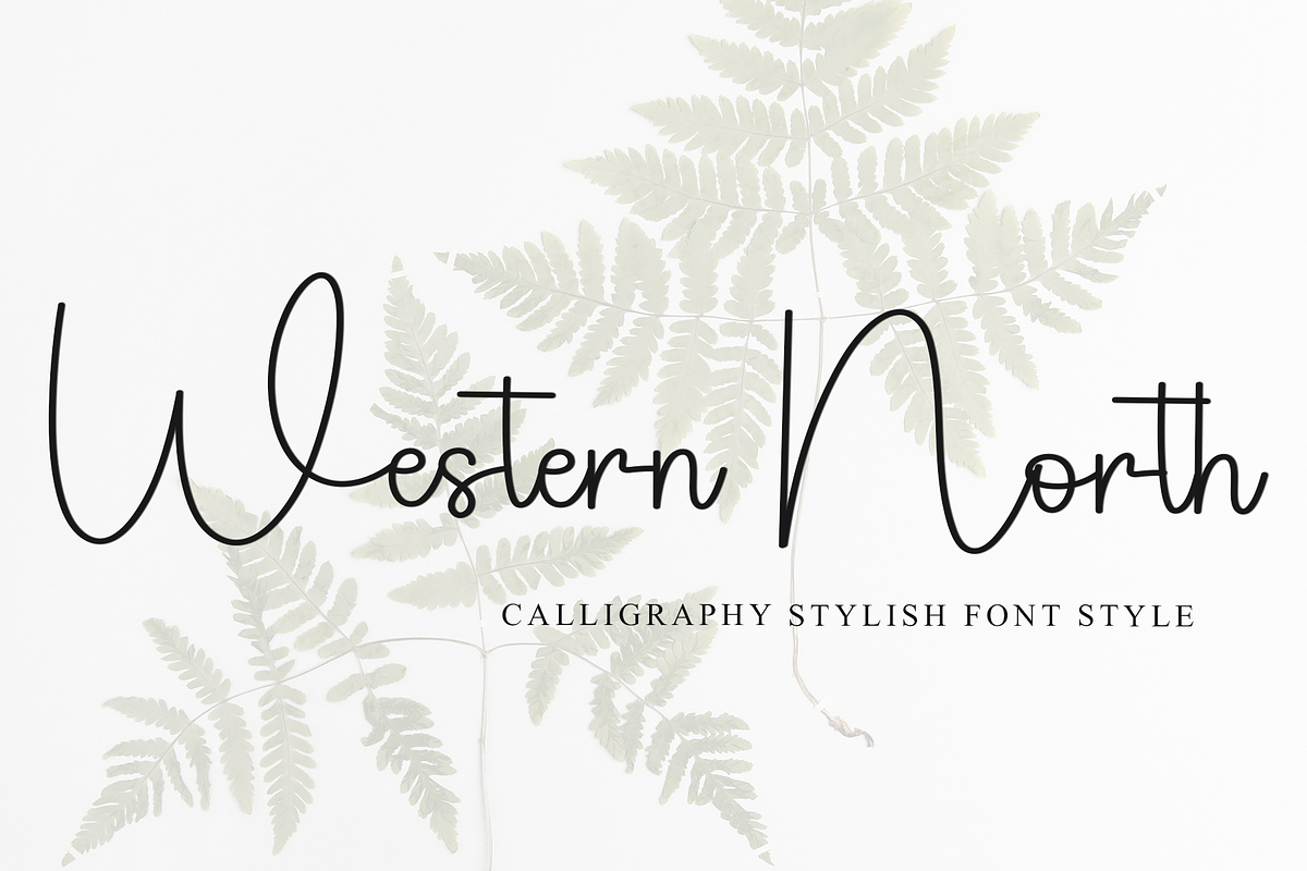 Western North, a Handwritten Font by InermediaSTUDIO (Photo 1 of 8)