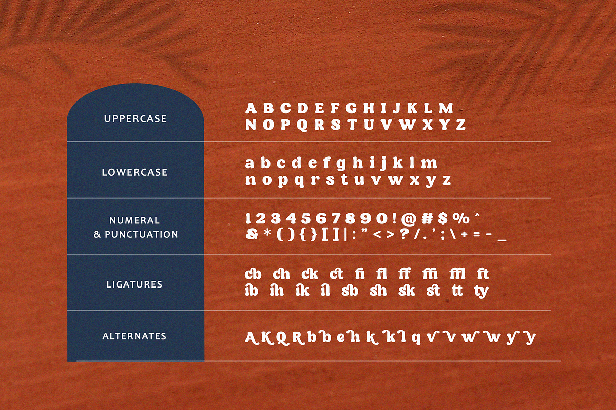 Cailesta, a Serif Font by Typia Nesia (Photo 10 of 10)
