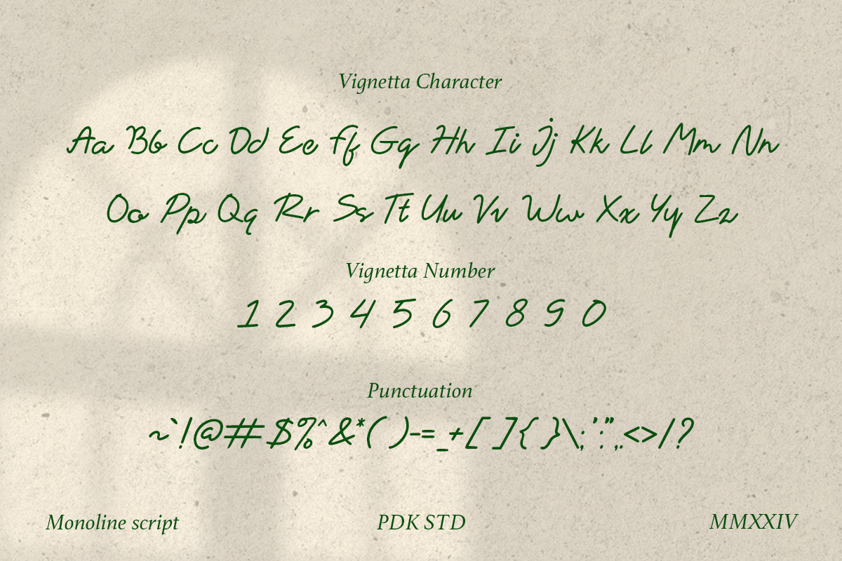 Vignetta - Casual Script Monoline, a Script Font by Pandeka Studio (Photo 9 of 9)