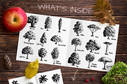Set of Sketch Trees, an Object Graphic by Olena (Thumbnail 2 of 3)