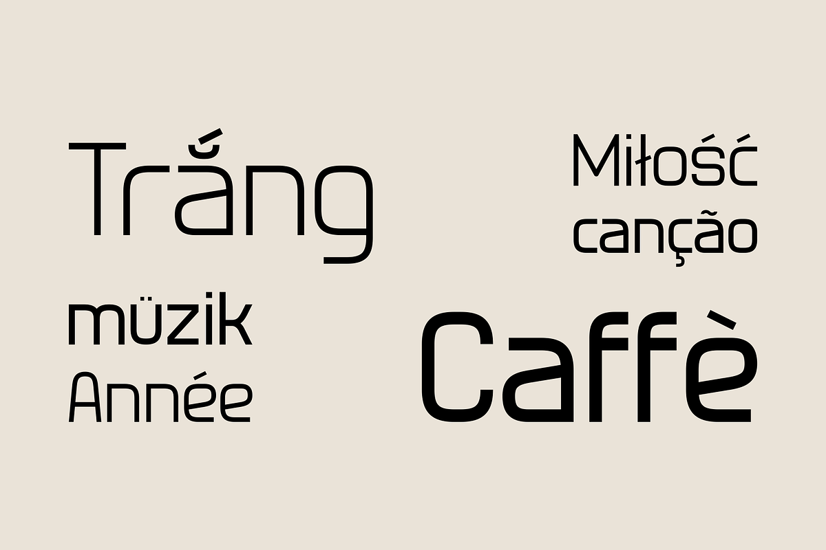 Stoica – Font Family, a Sans Serif Font by Stefano Giliberti (Photo 9 of 10)