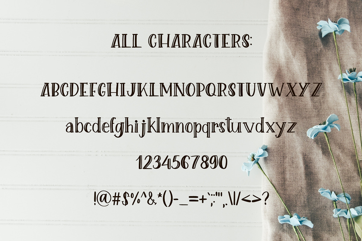 Lovely Creature. Cute Serif Font. preview 4