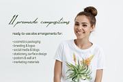 Aloe Watercolor Collection, a Decorative Illustration by WatercolorElena (Thumbnail 4 of 11)