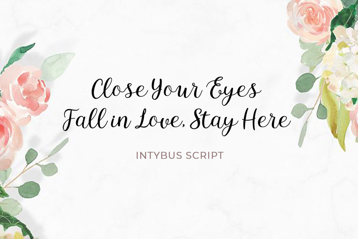 Intybus Script preview 5
