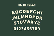 Verine - Classic Elegant Font, a Font by Blazing Sun Creative (Thumbnail 3 of 8)