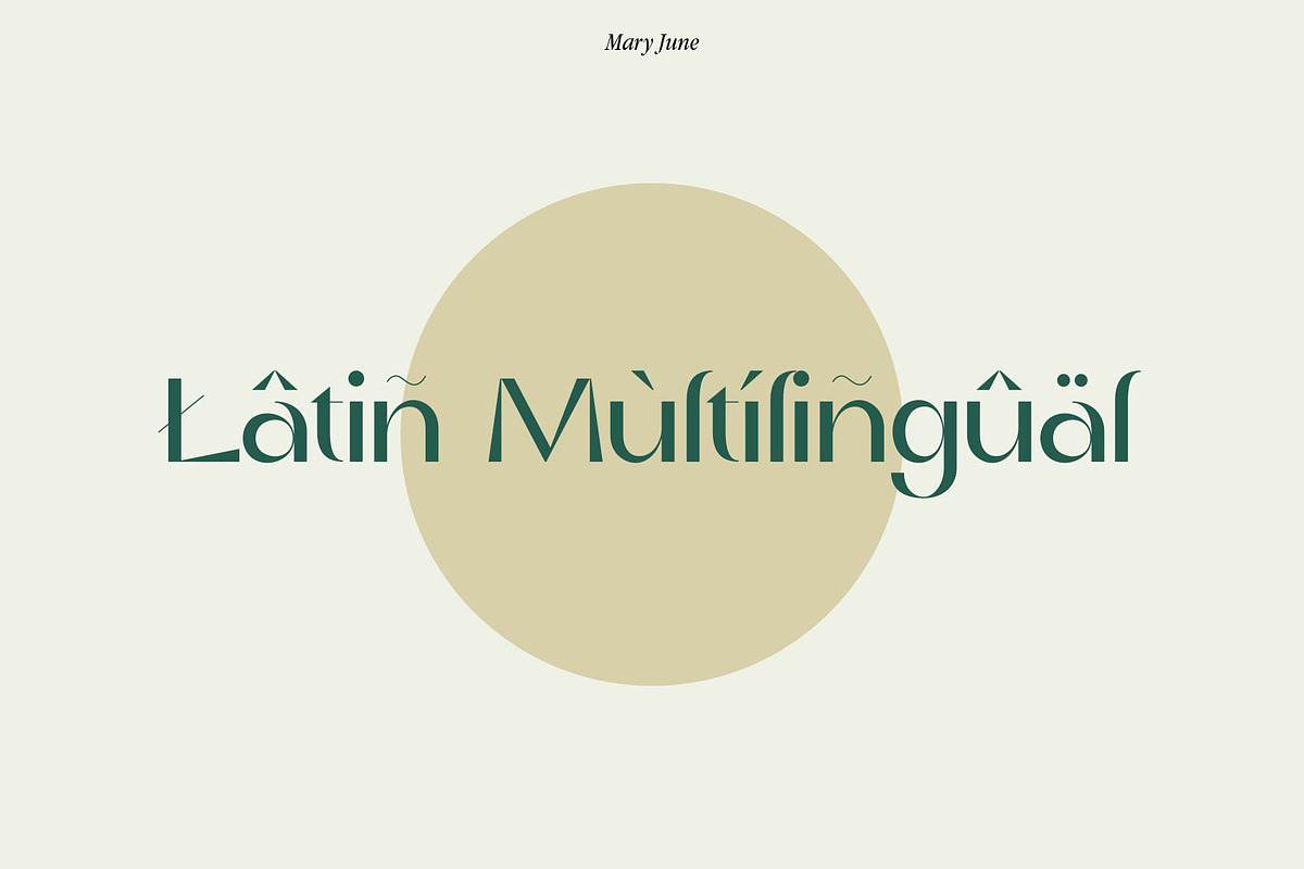 Mary June - A Modern Contrast Sans, a Sans Serif Font by StudioinBry (Photo 11 of 12)