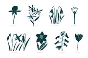 Spring Flowers Vector Collection, an Illustration by Lubov Illustrations Shop (Thumbnail 2 of 6)