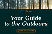Liferdas Serif Family, a Serif Font by Sealoung (Thumbnail 6 of 10)