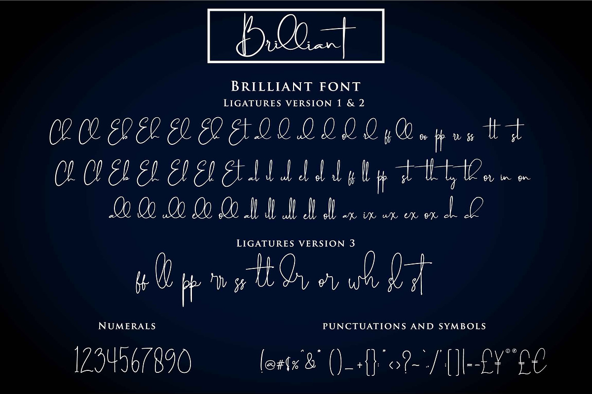 Brilliant - 3 Signature Font, a Script Font by din-studio.com (Photo 4 of 9)