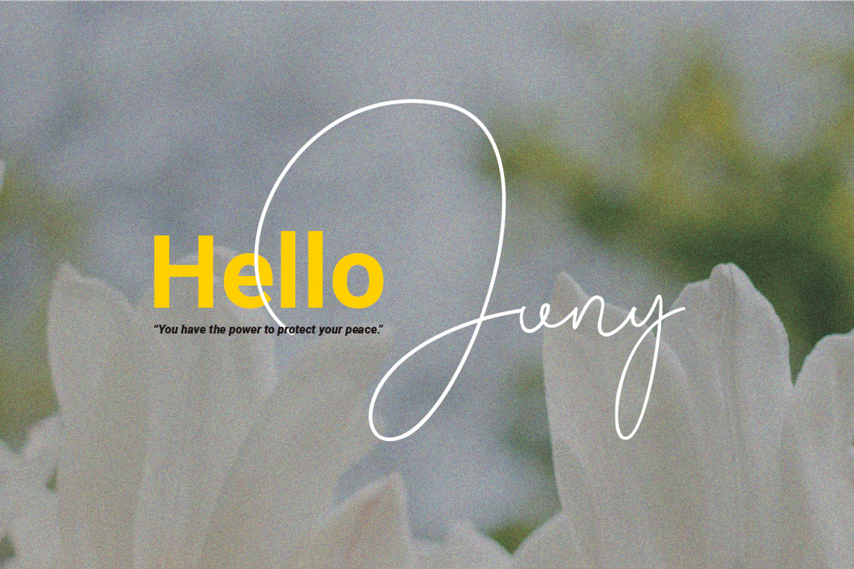 Birlina Signature, a Script Font by JNJ Studio (Photo 6 of 12)