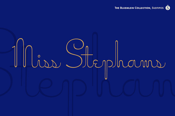 Miss Stephams Pro preview 7