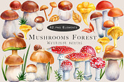 Mushrooms Forest watercolor painting, an Object Illustration by Hanna Hryharenka (Thumbnail 1 of 11)