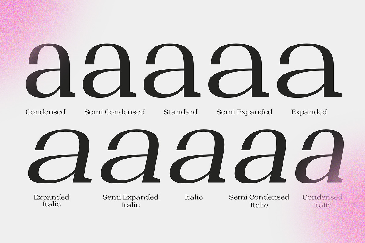 Shapfly, a Serif Font by Propertype (Photo 3 of 15)