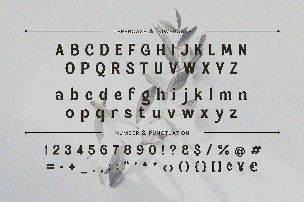 Magnes - A Display Serif Font, a Sans Serif Font by Almeera Std (Photo 4 of 10)