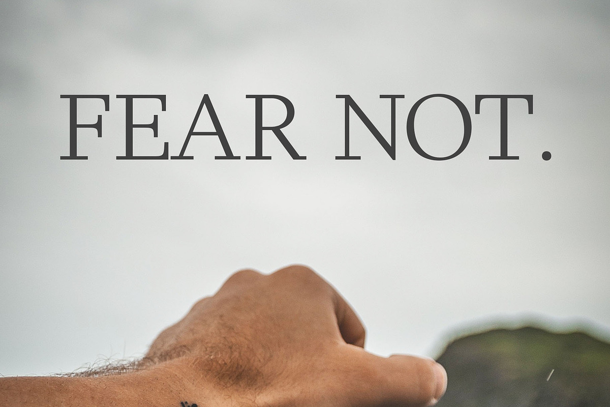 Haddie Modern Serif Font Family preview 6