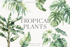 Watercolor Tropical Plants