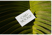 Business Card Mockups - Outdoor, an Advertising Mockup by Mr.Mockup™ (Thumbnail 20 of 23)