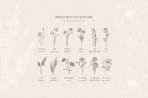 Birth Month Flowers, Botanicals, an Object Graphic by Olya Creative