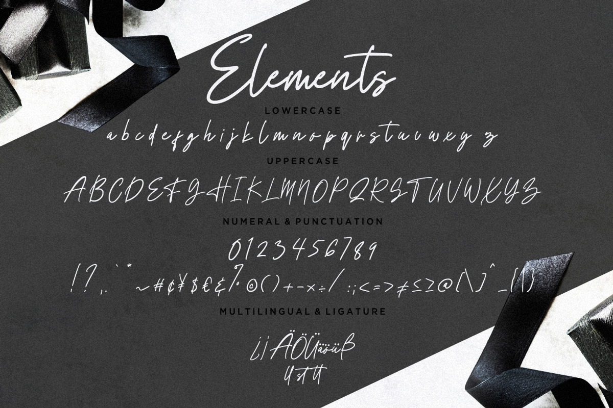 Elements Signature Business Font preview 7