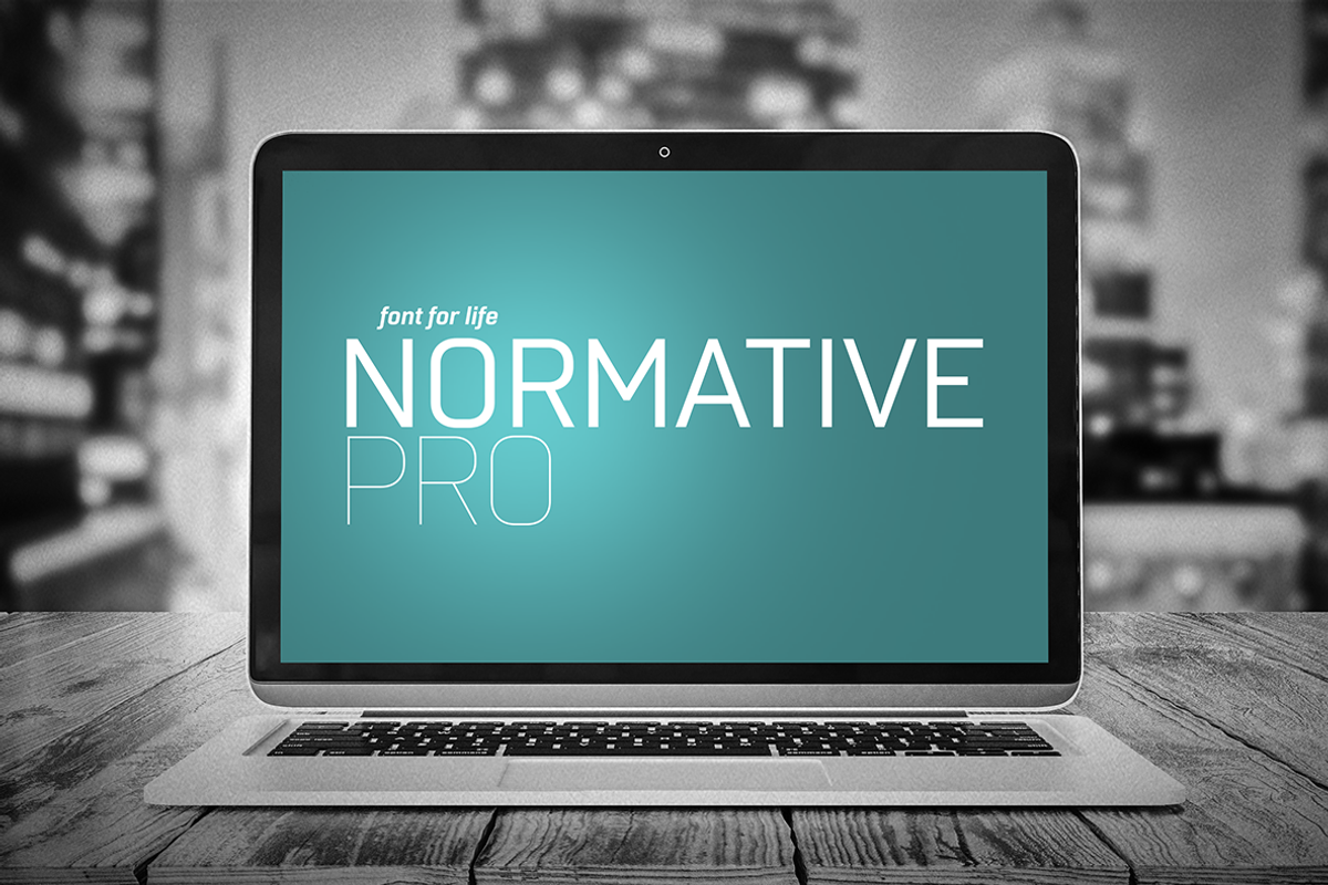 Normative Pro – 12 fonts, a Sans Serif Font by Green Type (Photo 11 of 11)
