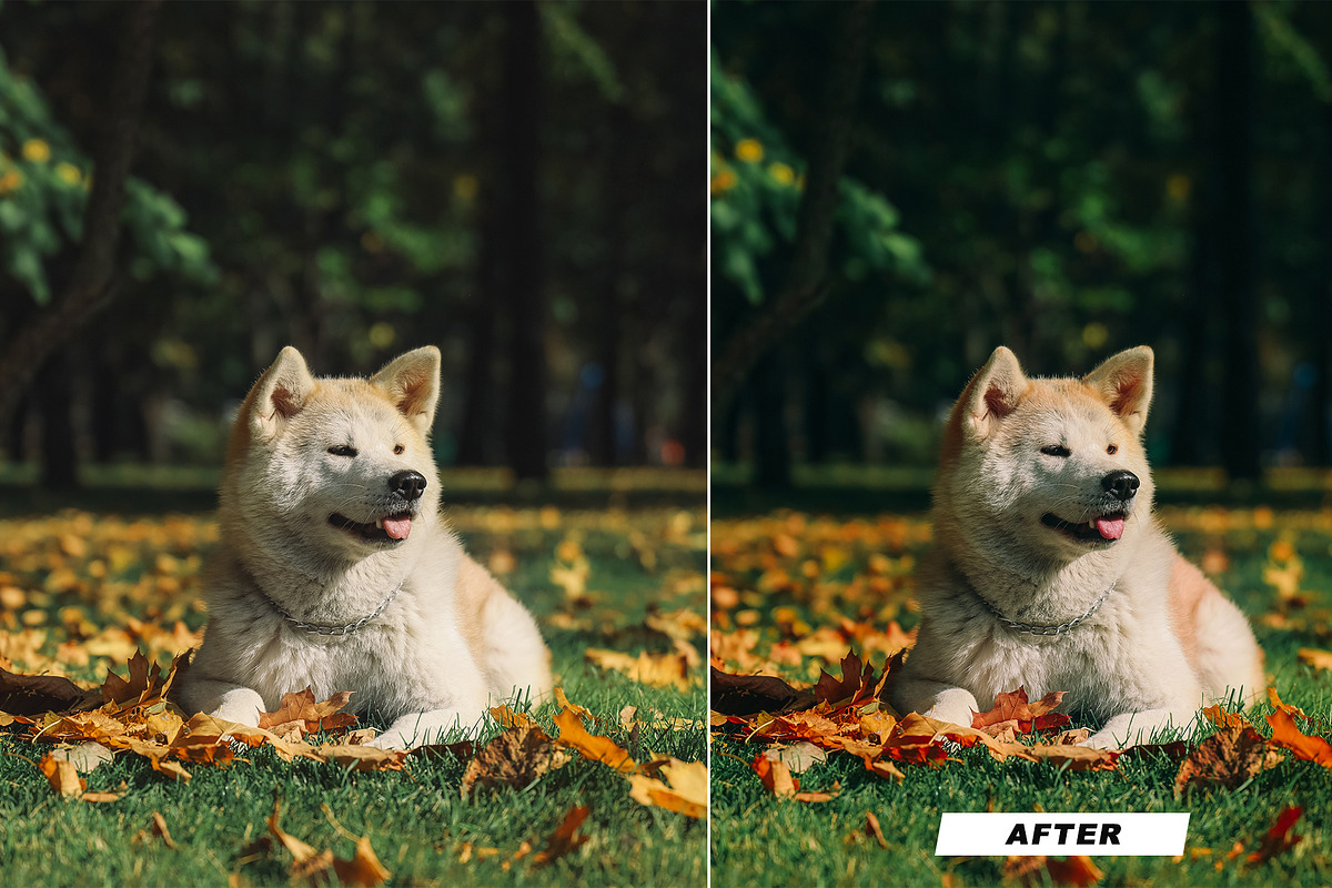 25 Japan Lightroom Presets, an Action Add-On by Viktor Gjokaj (Photo 3 of 11)