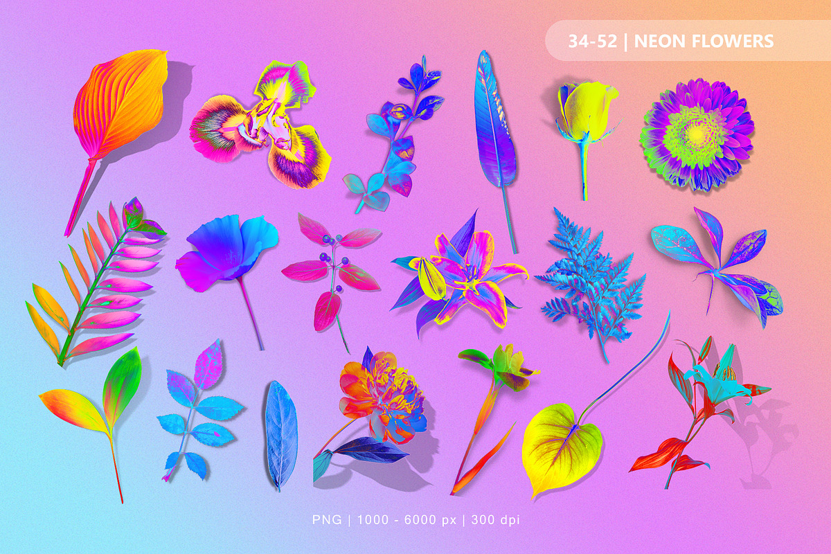 Acid Flowers Set, an Object Graphic by TiriCo (Photo 4 of 11)