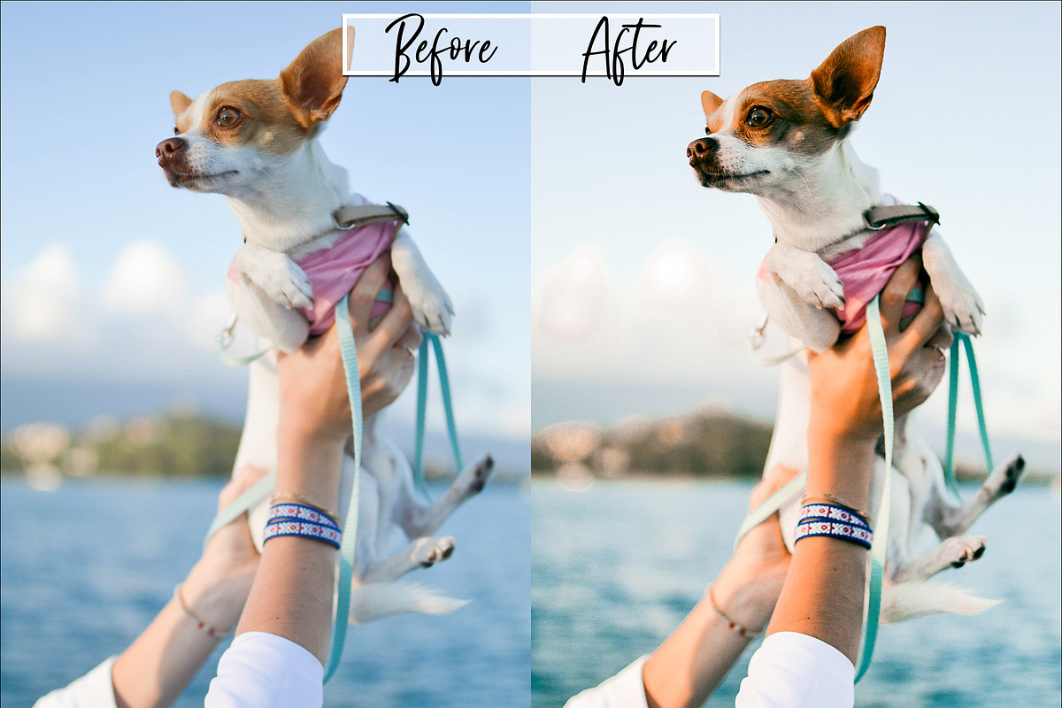 Enhancement Lightroom Presets, an Action Add-On by MarieMcKennaDesigns (Photo 2 of 10)
