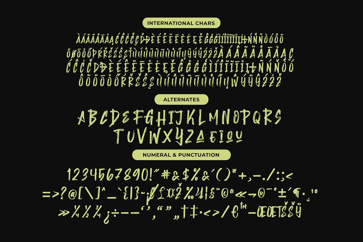 Montha Stroner Display Brush Font, a Script Font by Letterena Studios Script (Photo 14 of 15)