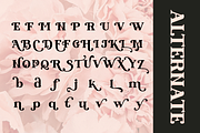 Modesto - Retro Modern Stylish Serif, a Serif Font by Qweera Studio (Thumbnail 11 of 12)
