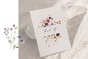 Tiny Flowers Pressed Floral Clipart, an Illustration by whiteheartdesign (Thumbnail 17 of 17)