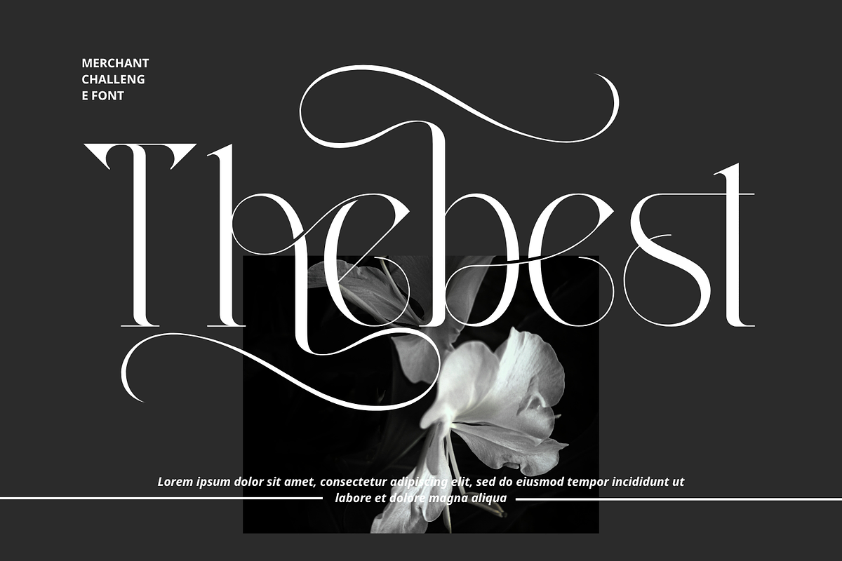 Merchant Challenge Font, a Serif Font by 177Studio (Photo 5 of 8)