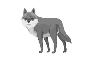 Gray wolf. A predatory beast. Wild, an Animal Illustration by the8monkey