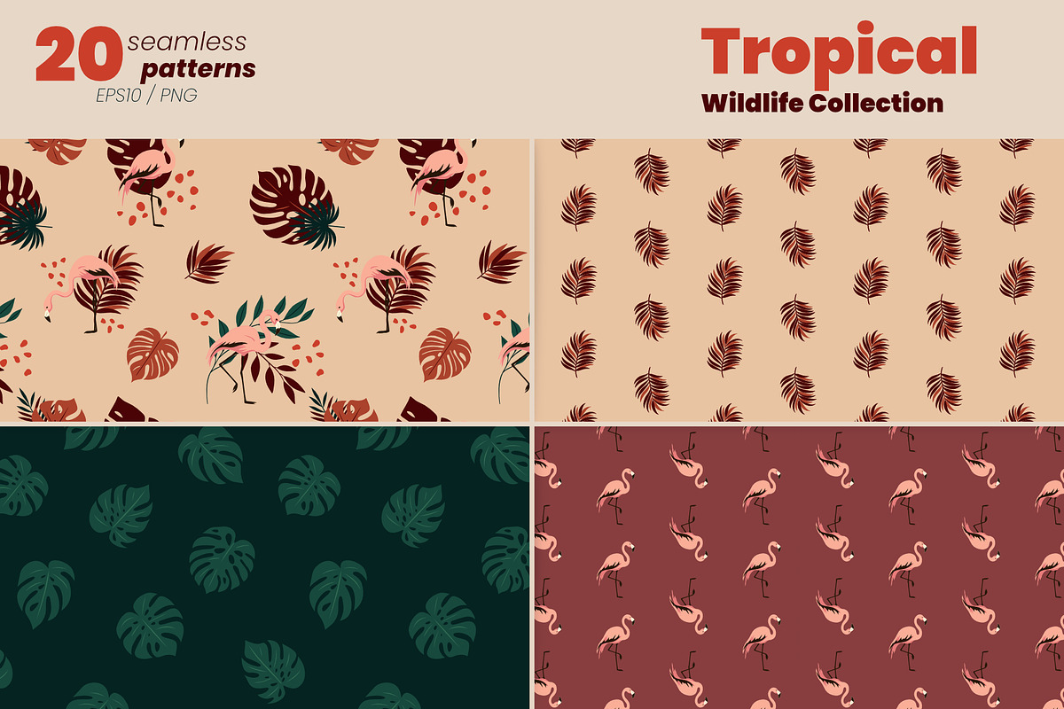 Tropical Wildlife Collection, a Decorative Illustration by moja doodle (Photo 6 of 8)