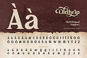Oldhrip - Classic Serif, a Serif Font by Burntilldead (Thumbnail 11 of 12)