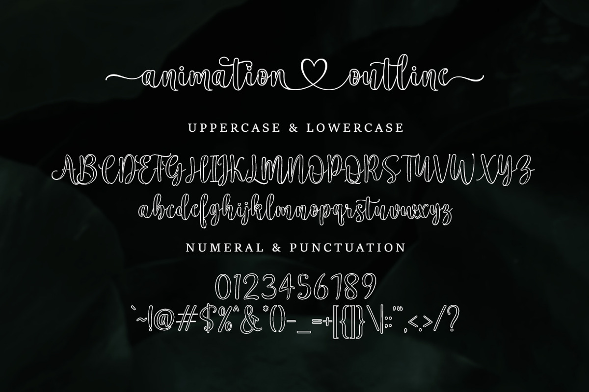 Animation Outline, a Script Font by Zane Studio (Photo 8 of 8)