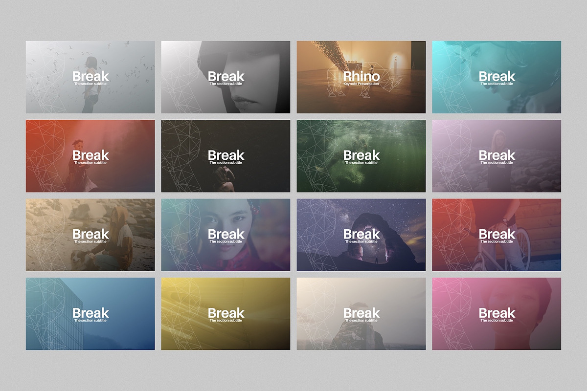 Rhino Keynote Presentation Template, a Presentation Template by Goashape Studio (Photo 8 of 9)