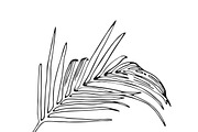 Palm Leaves svg, Botanical png, a Decorative Illustration by Watercolor_Vector Graphic (Thumbnail 9 of 25)