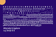 Kelaba Sans, a Font by Differentialtype (Thumbnail 12 of 12)