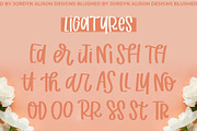 Blushed, Thick Marker Font, a Handwritten Font by Jordyn Alison Designs (Thumbnail 4 of 8)