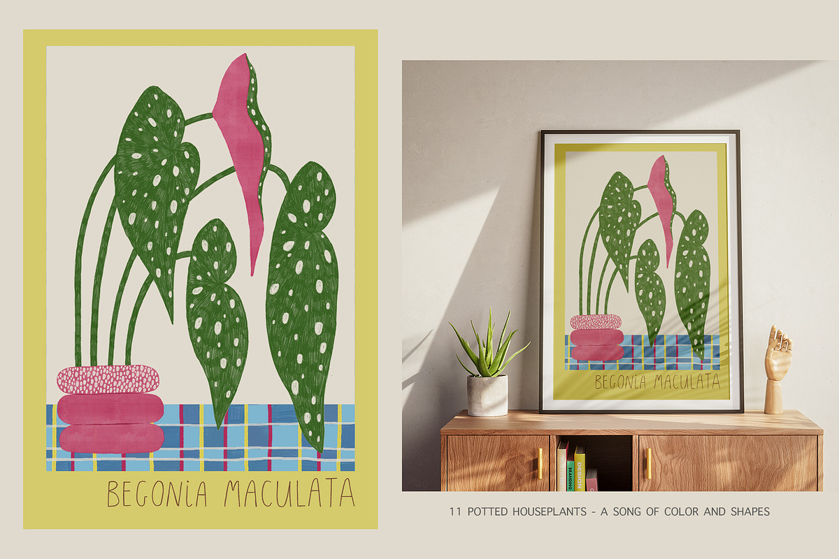 Peperomia - eclectic houseplants, an Illustration by Annakniaz (Photo 2 of 14)