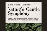 Mistesy Modern Serif Font, a Serif Font by Perfectype (Thumbnail 2 of 8)