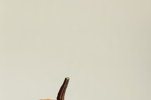 Single orange pumpkin on neutral beige background with copy spac, a Food & Drink Photo by José Manuel Gelpi