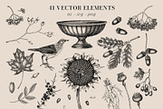 Autumn Heritage Botanical Collection, a Seasonal Illustration by Yevheniia (Thumbnail 3 of 13)