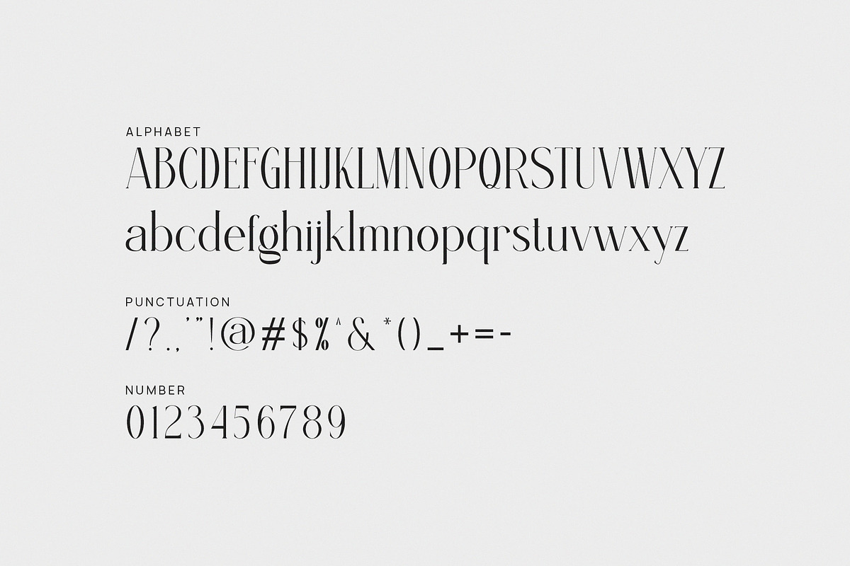 Rogifta Modern Serif Font, a Serif Font by Graphicxell (Photo 7 of 8)