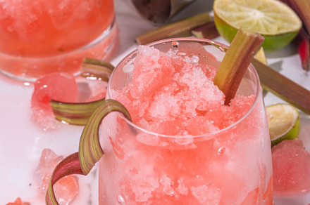 Refreshing rhubarb sour fizz cocktail, a Food & Drink Photo by Rimma