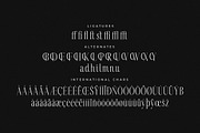 Rastofi Modern Ligature Serif, a Serif Font by Letterena Studios (Thumbnail 14 of 15)