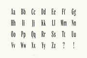 Yarar, a Serif Font by True Story Letterworks (Thumbnail 3 of 11)